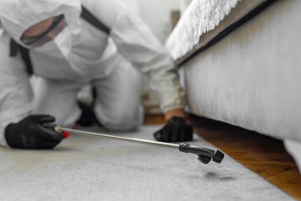 Professional Cockroach Control technician working in Harbor Isle, NY