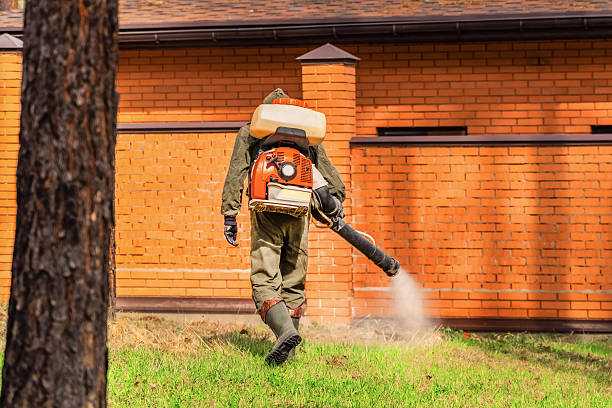 Trusted Bed Bug Control service in Harbor Isle, NY - Nex Pest Control